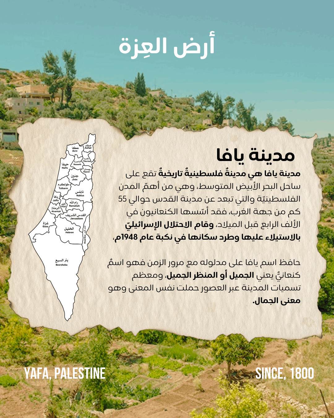 YAFA ~ Printed Modal Scarf