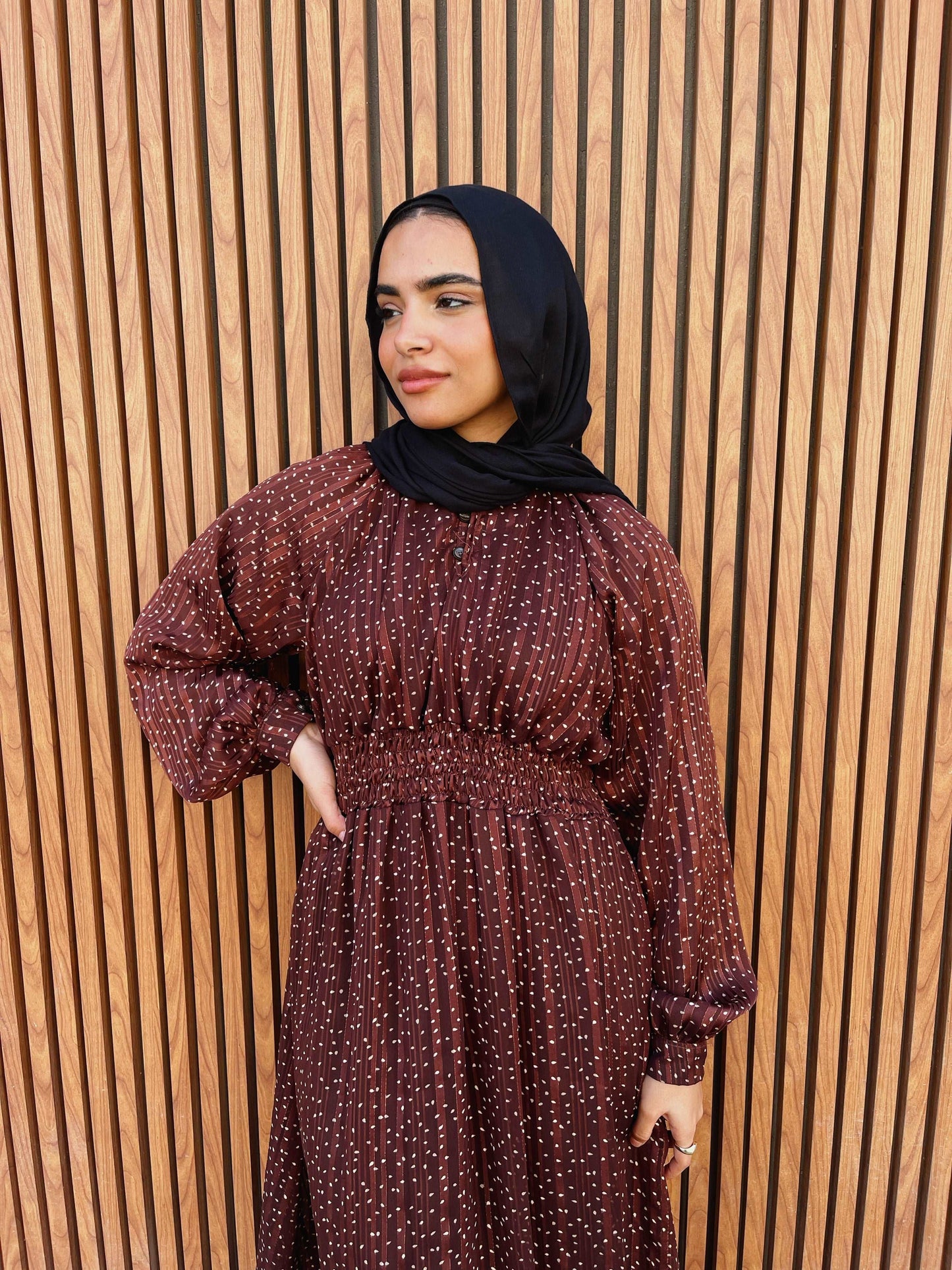 Eve Dress ~ Polka Brown